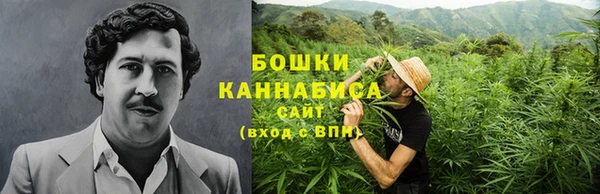 трава Аркадак