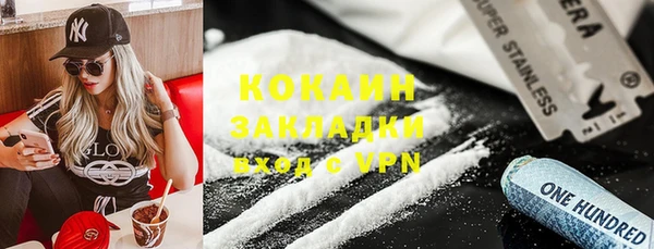 дживик Алексин