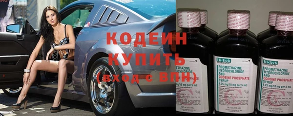 ГАЛЛЮЦИНОГЕННЫЕ ГРИБЫ Елабуга