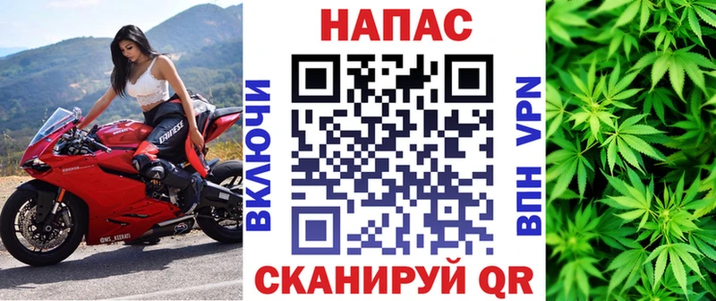Марихуана сатива  где найти   KRAKEN ссылки  Новая Ляля 